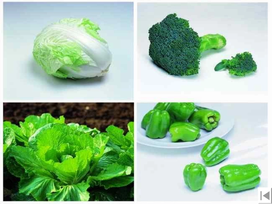 《营养要均衡》食物PPT课件[教科版四年级科学下册]_第3页