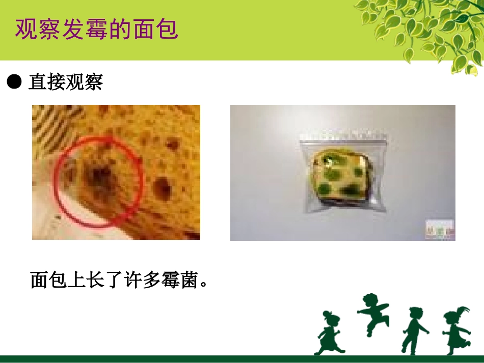 《面包发霉了》食物PPT课件[教科版四年级科学下册]_第2页