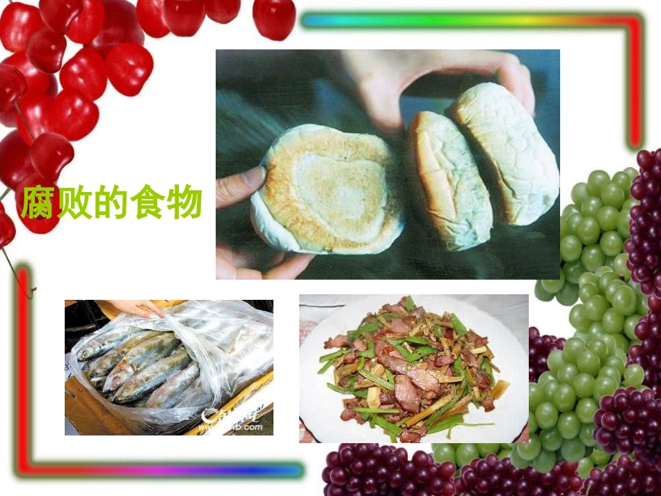《减慢食物变质的速度》食物PPT课件[教科版四年级科学下册]_第3页