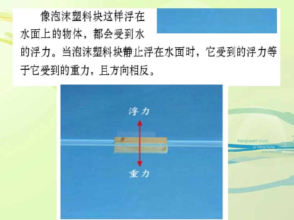 《浮力》沉和浮PPT课件[教科版五年级科学下册]_第3页