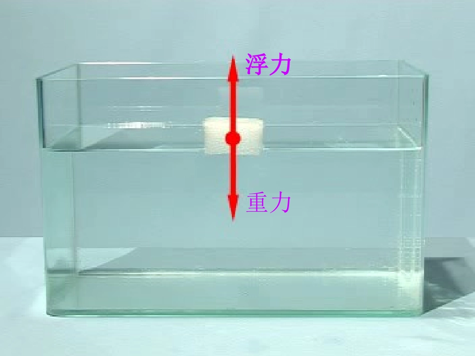 《浮力》沉和浮PPT课件[教科版五年级科学下册]_第3页