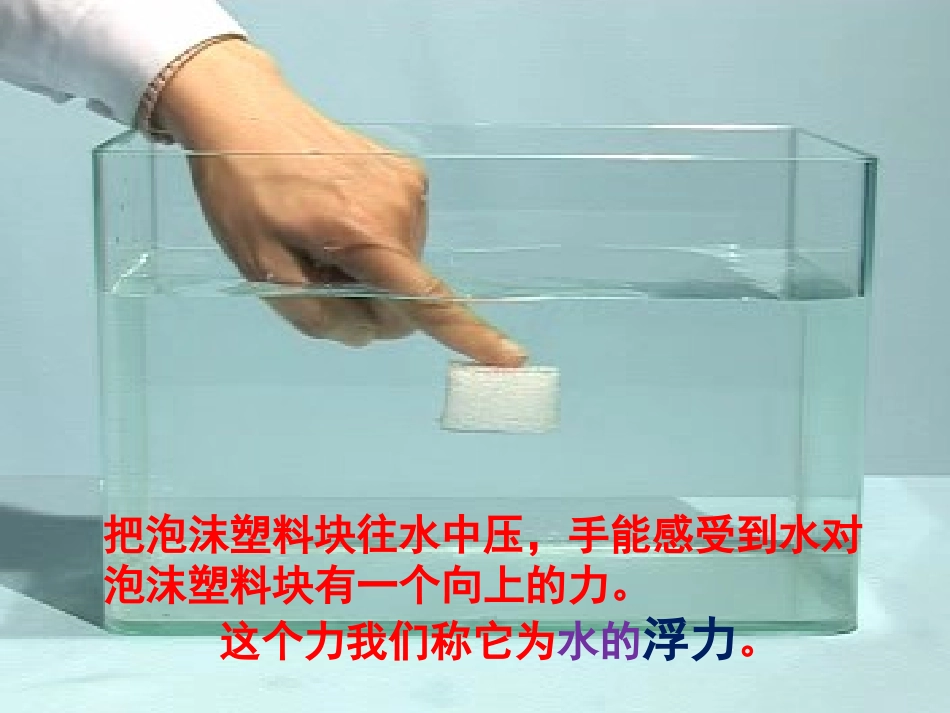 《浮力》沉和浮PPT课件[教科版五年级科学下册]_第2页