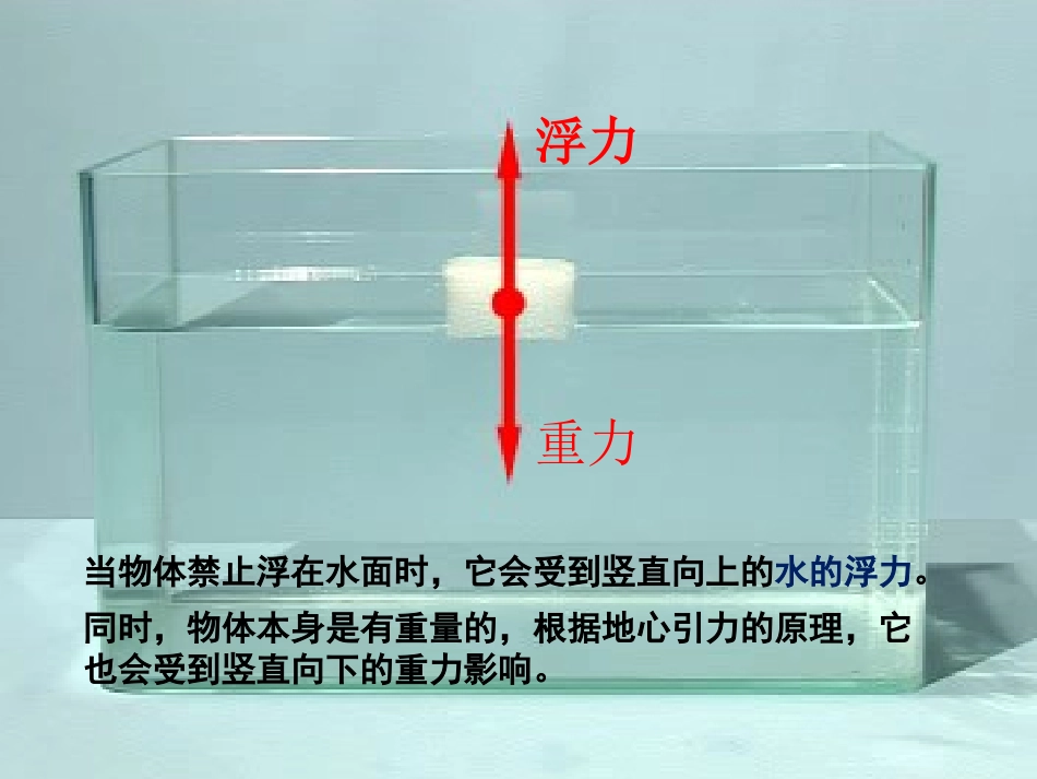 《浮力》沉和浮PPT课件[教科版五年级科学下册]_第3页