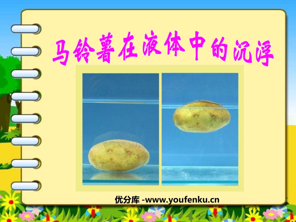 《马铃薯在液体中的沉浮》沉和浮PPT课件[教科版五年级科学]_第1页