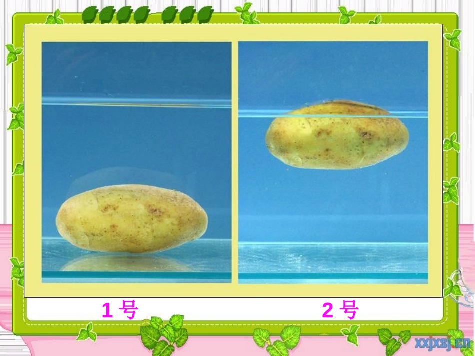 《马铃薯在液体中的沉浮》沉和浮PPT课件[教科版五年级科学]_第2页
