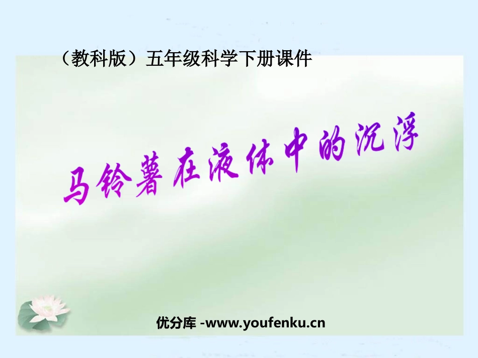 《马铃薯在液体中的沉浮》沉和浮PPT课件[教科版五年级科学]_第1页