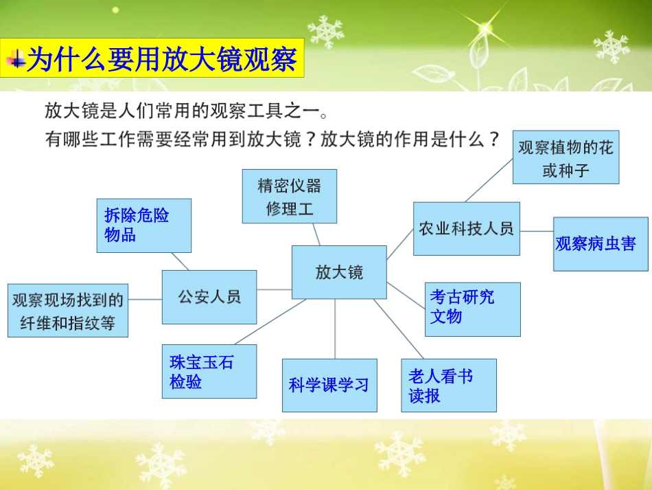 《放大镜》微小世界PPT课件[教科版六年级科学下册]_第3页