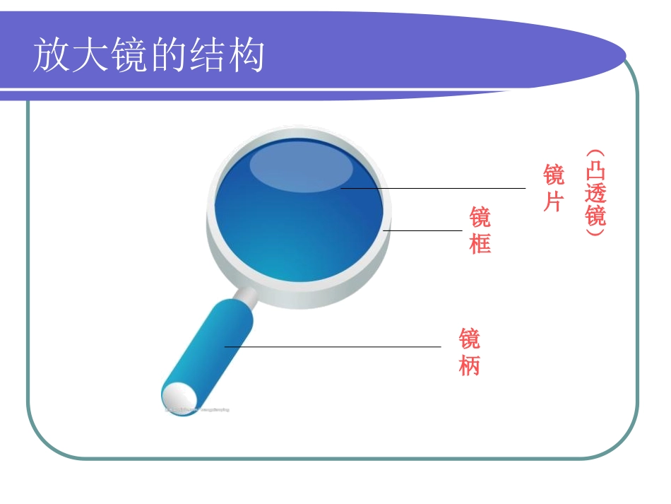 《放大镜》微小世界PPT课件[教科版六年级科学下册]_第2页
