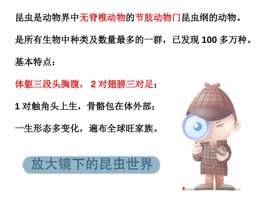 《放大镜下的昆虫世界》微小世界PPT课件[教科版六年级科学]_第3页