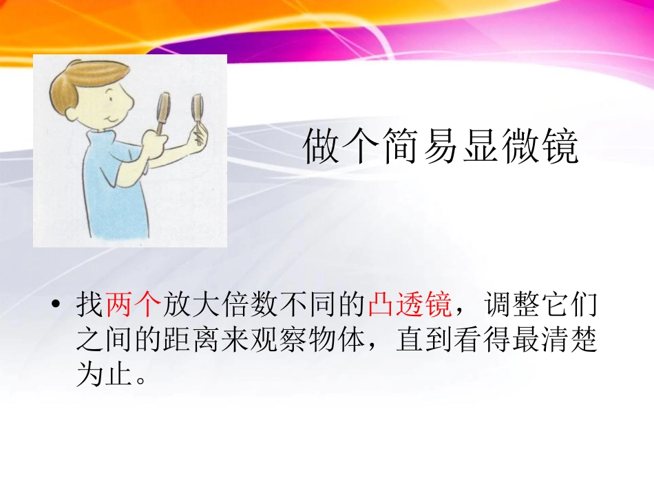 《怎样放得更大》微小世界PPT课件[教科版六年级科学下册]_第3页