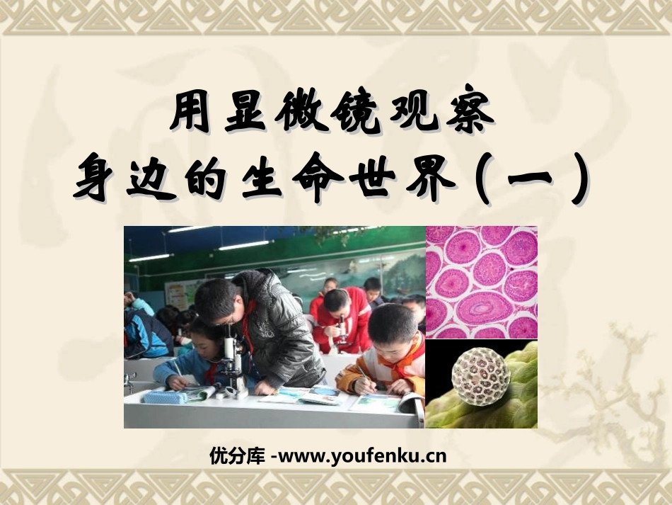 《用显微镜观察身边的生命世界(一)》微小世界PPT课件_第1页