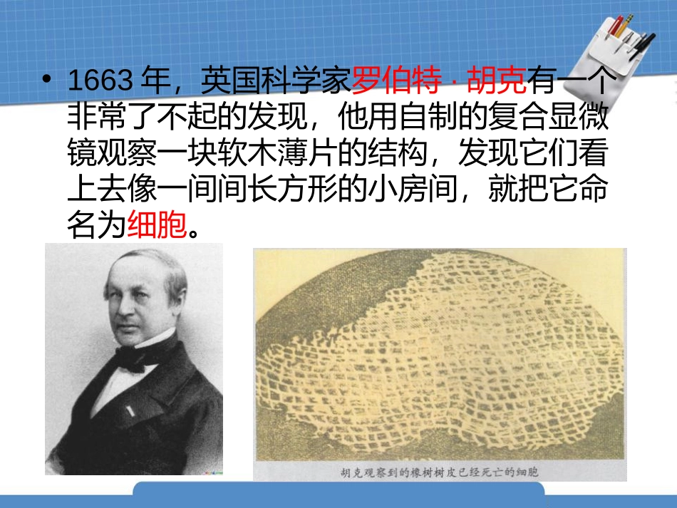 《用显微镜观察身边的生命世界(一)》微小世界PPT课件_第3页