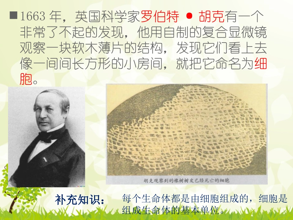 《用显微镜观察身边的生命世界(一)》微小世界PPT课件_第3页