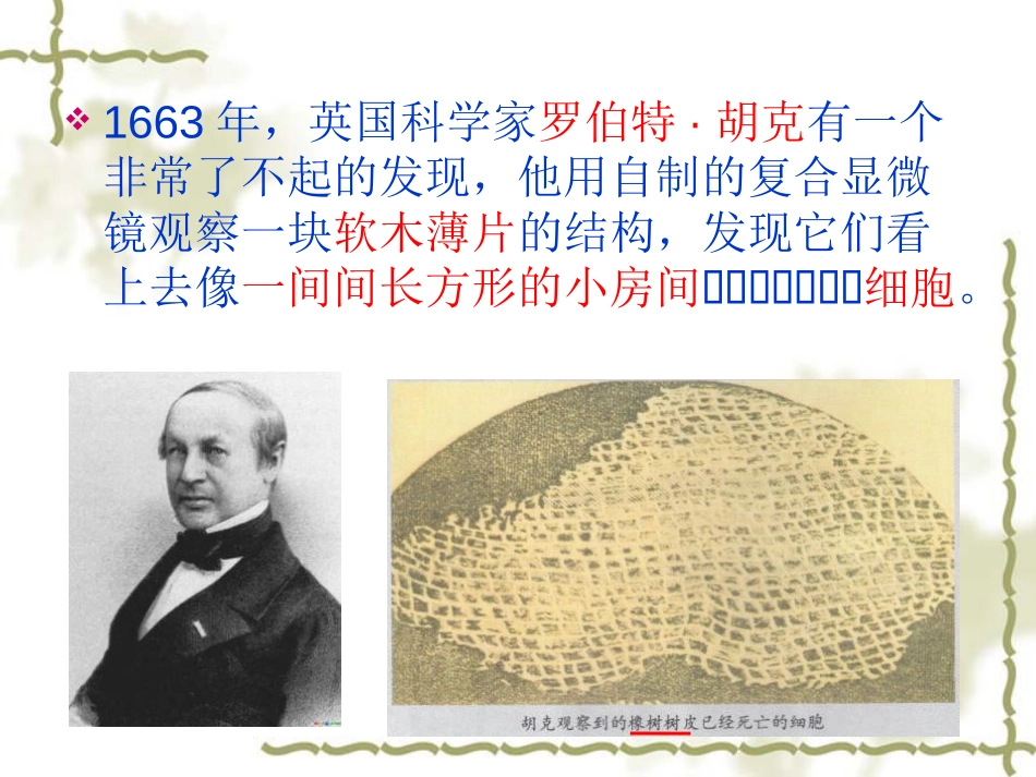 《用显微镜观察身边的生命世界(一)》微小世界PPT课件_第2页