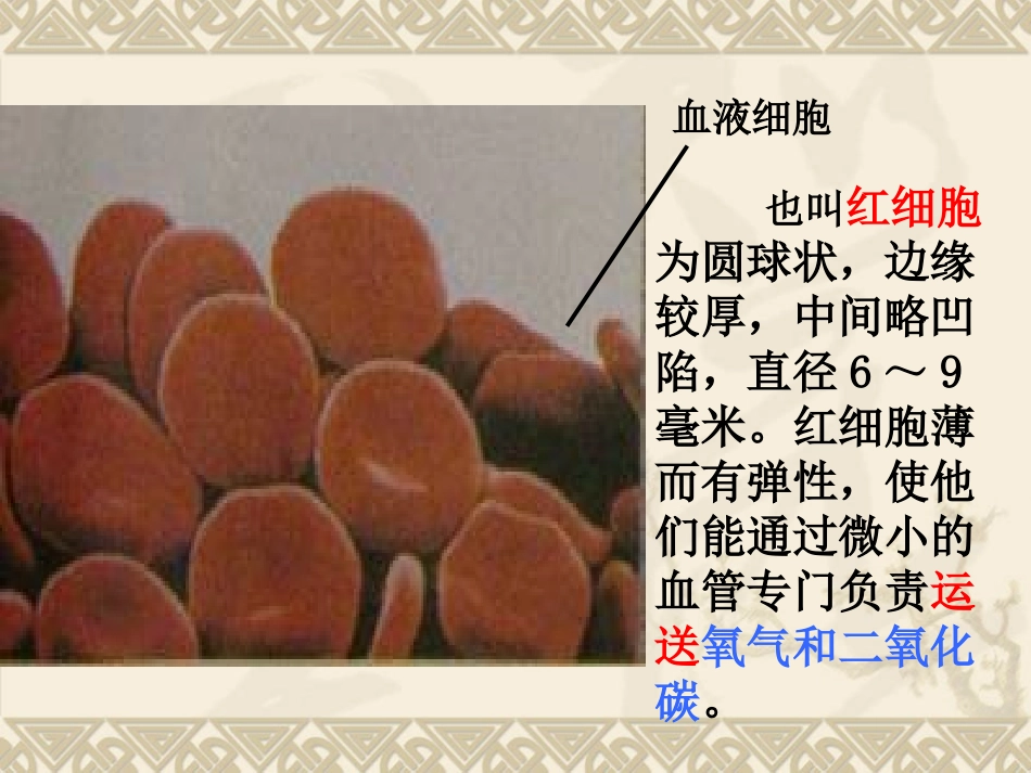 《用显微镜观察身边的生命世界(二)》微小世界PPT课件_第3页