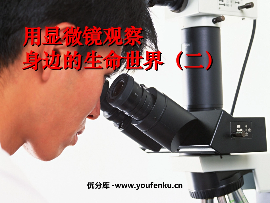 《用显微镜观察身边的生命世界(二)》微小世界PPT课件_第1页