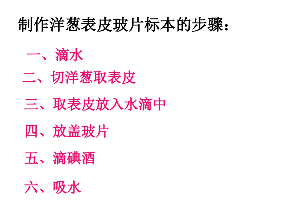 《用显微镜观察身边的生命世界(二)》微小世界PPT课件_第2页