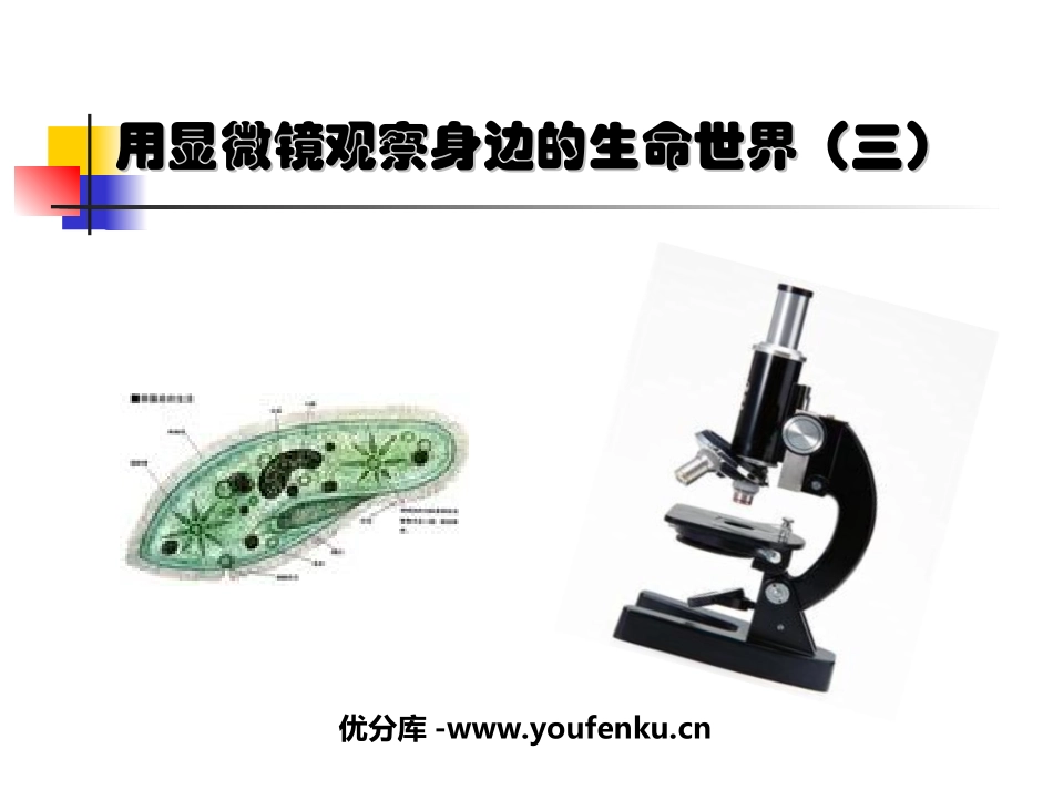 《用显微镜观察身边的生命世界(三)》微小世界PPT课件_第1页