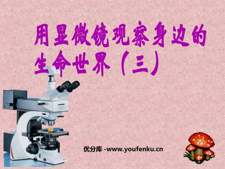 《用显微镜观察身边的生命世界(三)》微小世界PPT课件_第1页