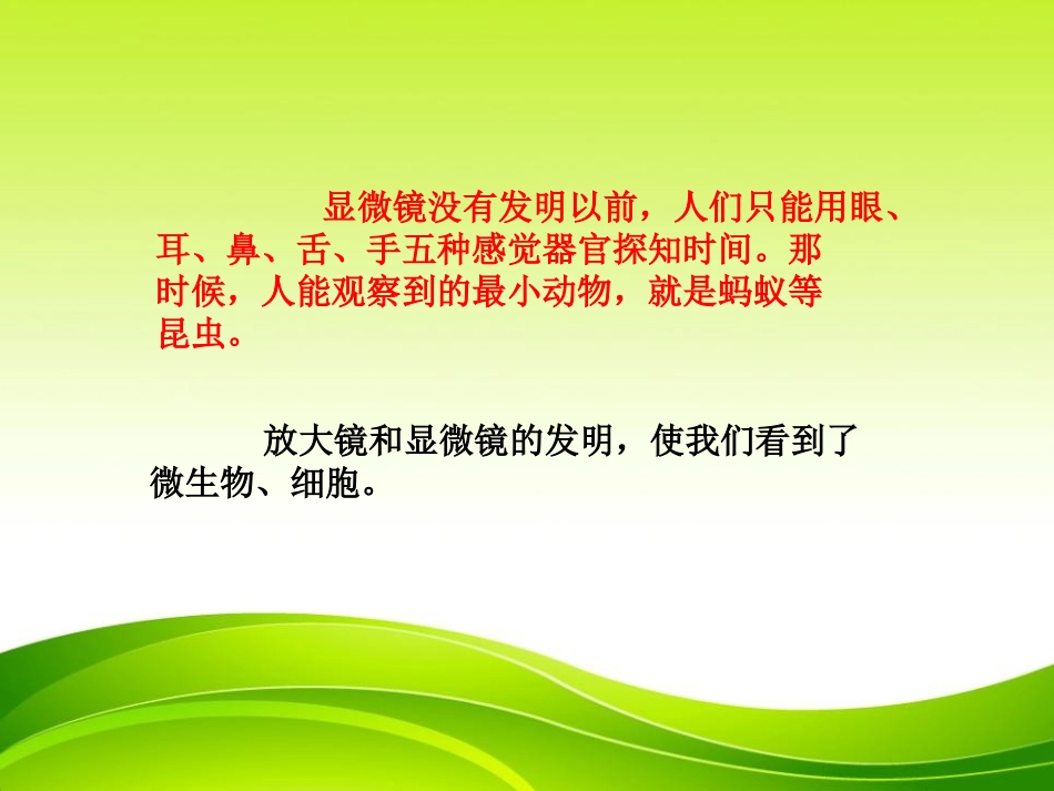 《微小世界和我们》微小世界PPT课件[教科版六年级科学下册]_第2页