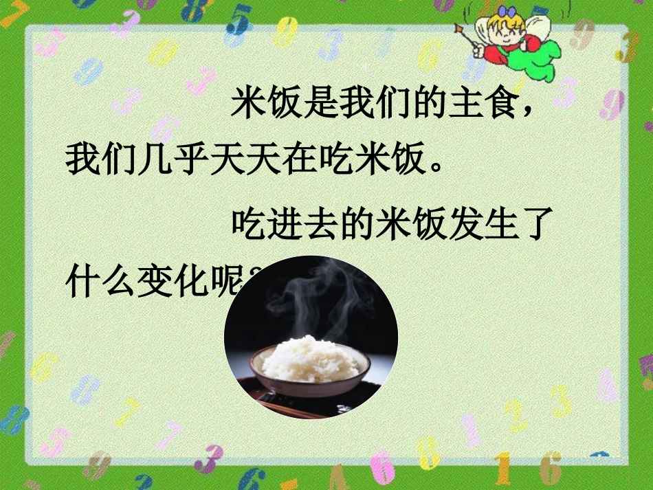 《米饭、淀粉和碘酒的变化》物质的变化PPT课件[教科版六年级科学]_第2页