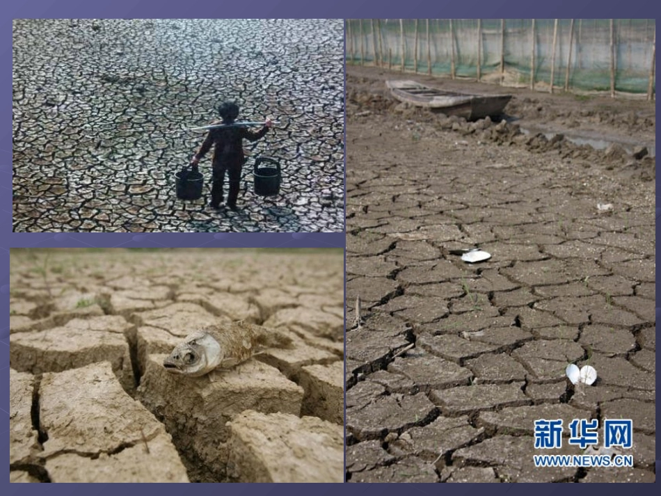 《一天的生活用水》环境和我们PPT课件[教科版六年级科学]_第2页