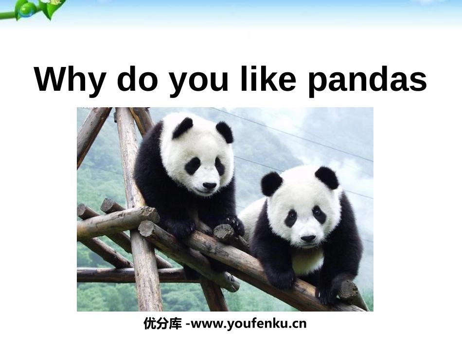 《Why do you like pandas?》PPT课件_第1页