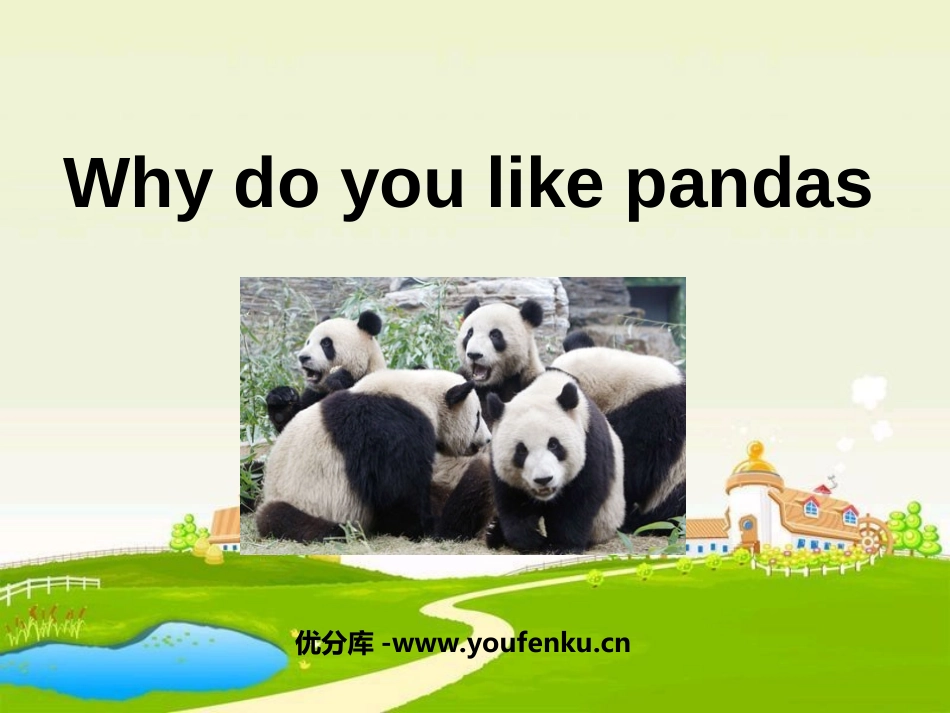 《Why do you like pandas?》PPT课件_第1页