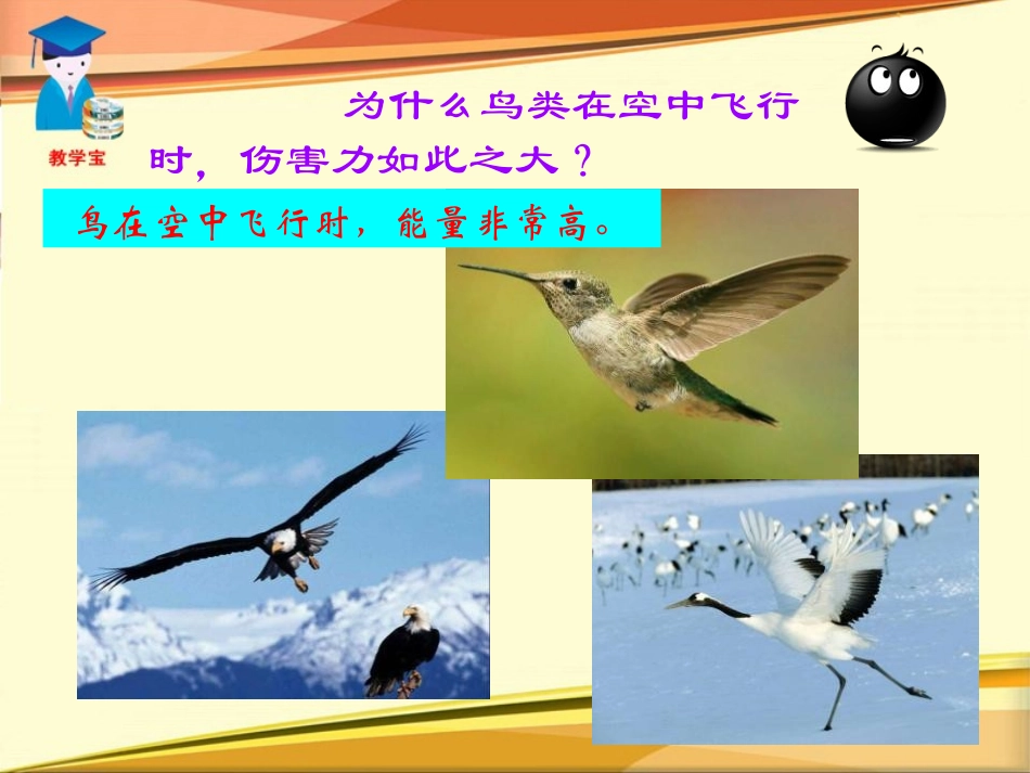 《动能和势能》功和机械能PPT课件[人教版八年级物理下册]_第3页