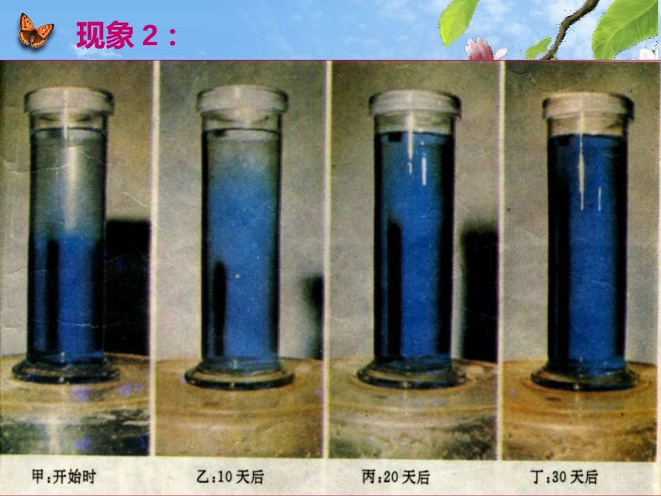 《分子热运动》内能PPT课件[人教版九年级物理]_第3页
