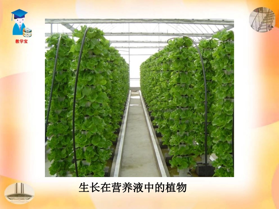 《溶液的形成》溶液PPT课件[人教版九年级化学下册]_第3页