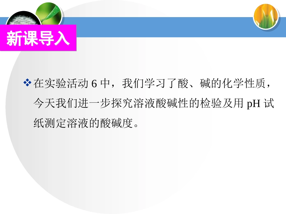《溶液酸碱性的检验》酸和碱PPT课件[人教版九年级化学下册]_第2页