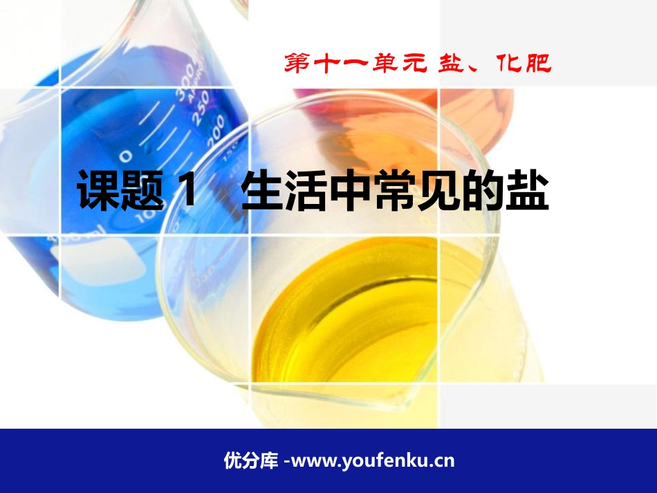 《生活中常见的盐》盐化肥PPT课件[人教版九年级化学下册]_第1页