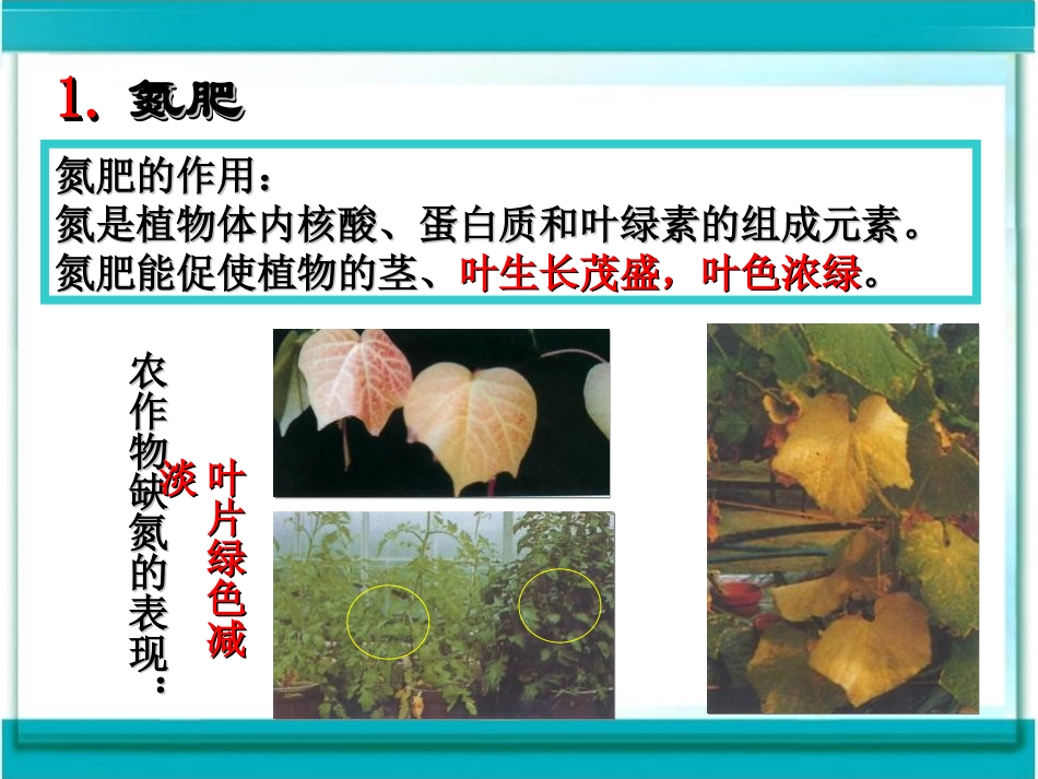 《化学肥料》盐化肥PPT课件[人教版九年级化学下册]_第3页