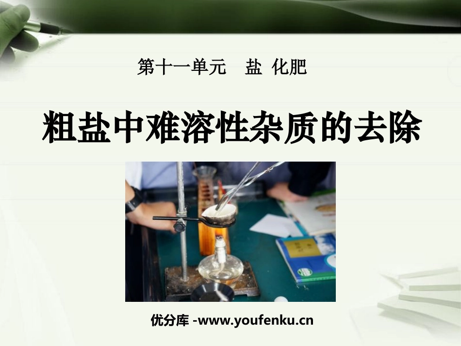 《粗盐中难溶性杂质的去除》盐化肥PPT课件[人教版九年级化学]_第1页