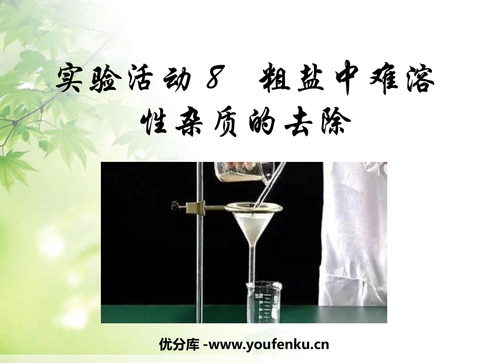 《粗盐中难溶性杂质的去除》盐化肥PPT课件[人教版九年级化学]_第1页