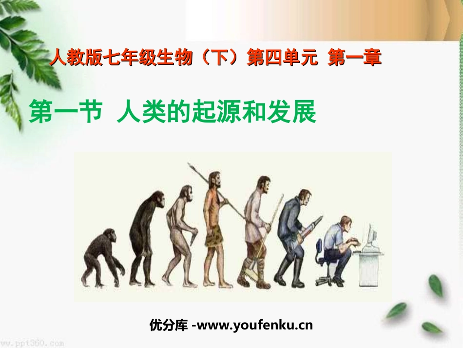 《人类的起源和发展》人的由来PPT课件[人教版七年级生物]_第1页