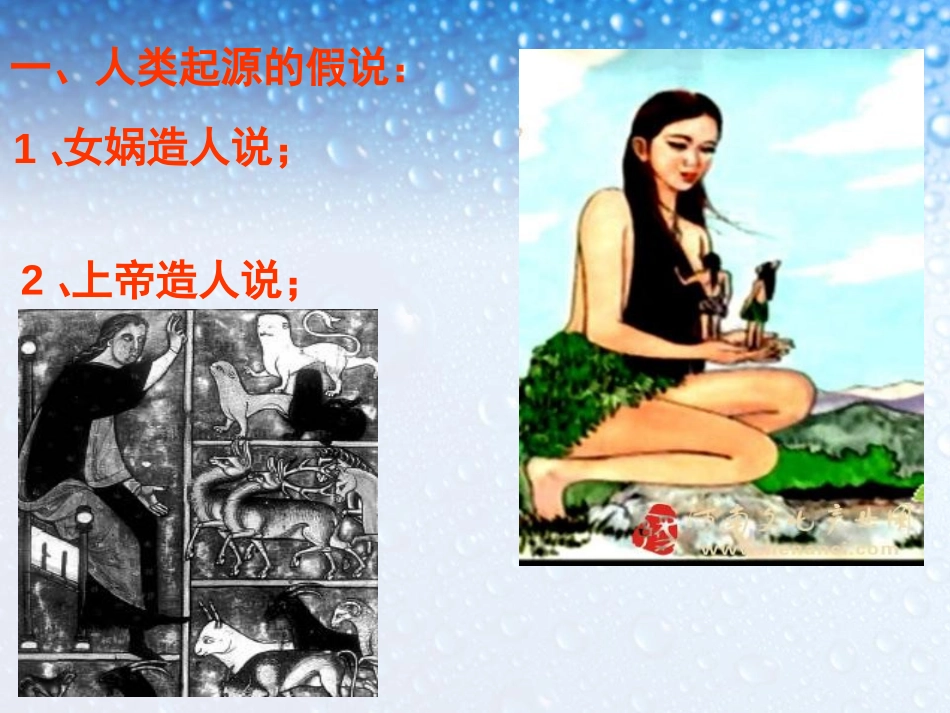 《人类的起源和发展》人的由来PPT课件[人教版七年级生物]_第1页