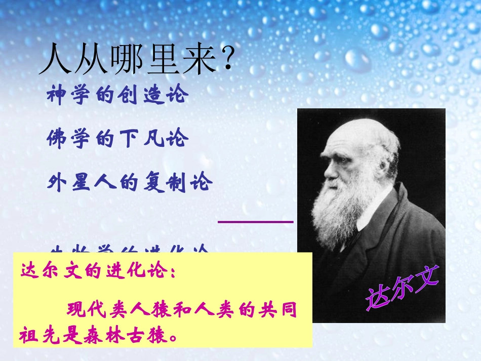 《人类的起源和发展》人的由来PPT课件[人教版七年级生物]_第2页
