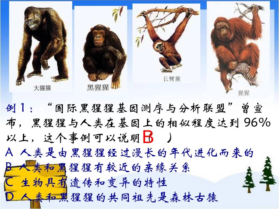 《人类的起源和发展》人的由来PPT课件[人教版七年级生物]_第3页