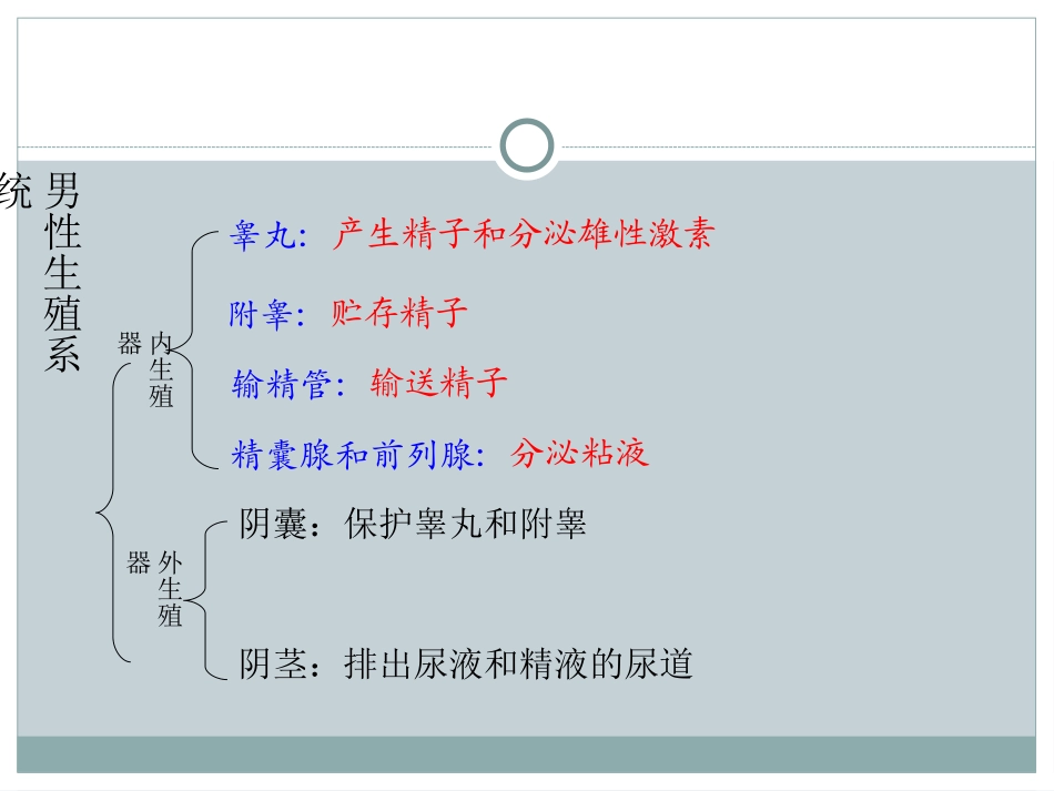 《人的生殖》人的由来PPT课件[人教版七年级生物下册]_第3页