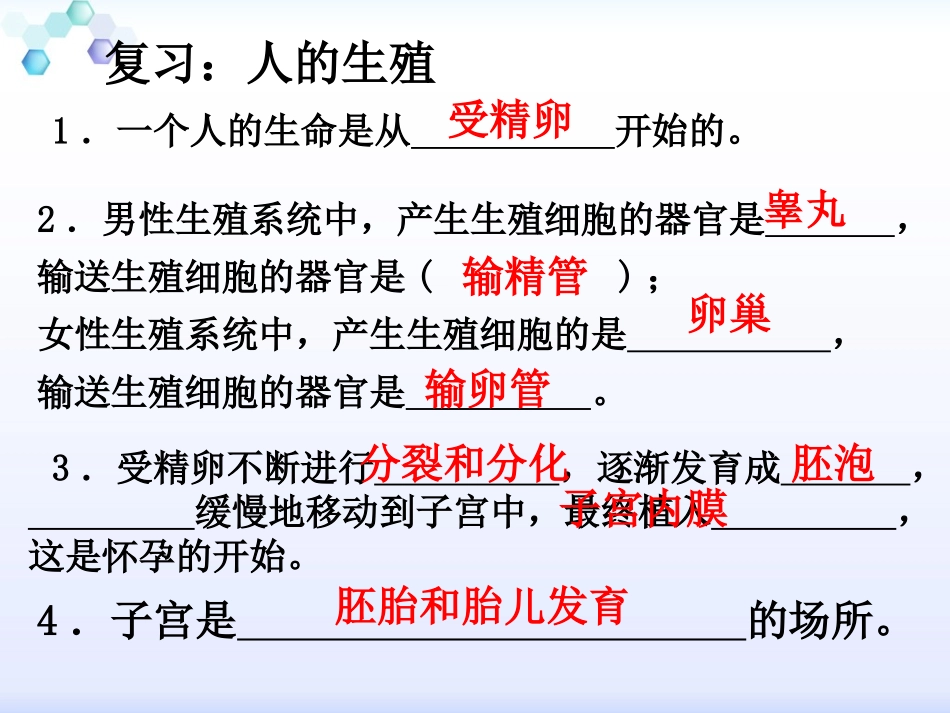 《青春期》人的由来PPT课件[人教版七年级生物下册]_第2页