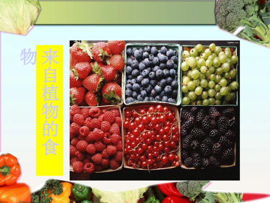 《食物中的营养物质》人体的营养PPT课件[人教版七年级生物]_第1页