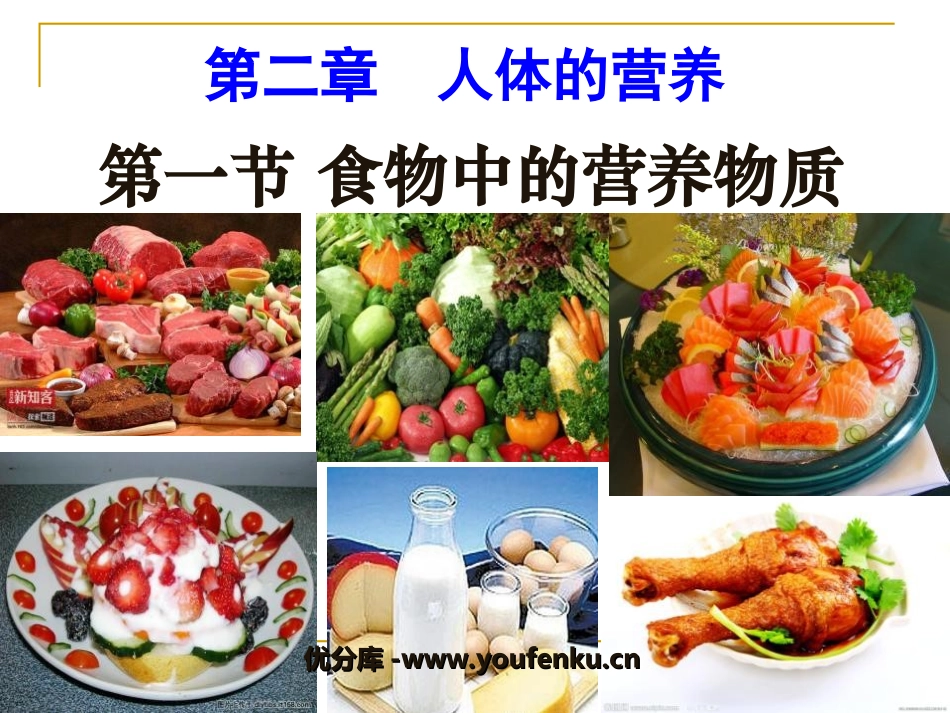 《食物中的营养物质》人体的营养PPT课件[人教版七年级生物]_第1页