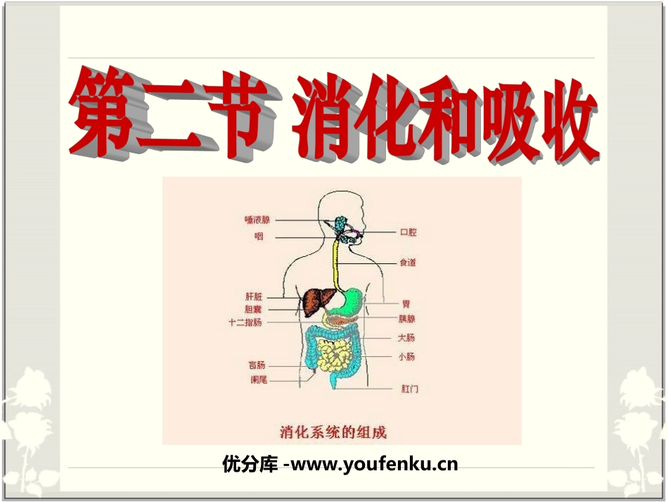 《消化和吸收》人体的营养PPT课件[人教版七年级生物下册]_第1页