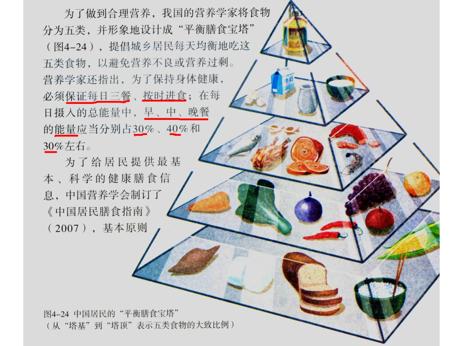 《合理营养与食品安全》人体的营养PPT课件[人教版七年级生物]_第3页