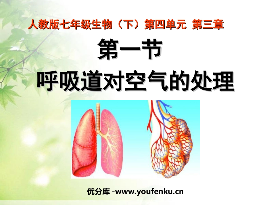 《呼吸道对空气的处理》人体的呼吸PPT课件[人教版七年级生物]_第1页