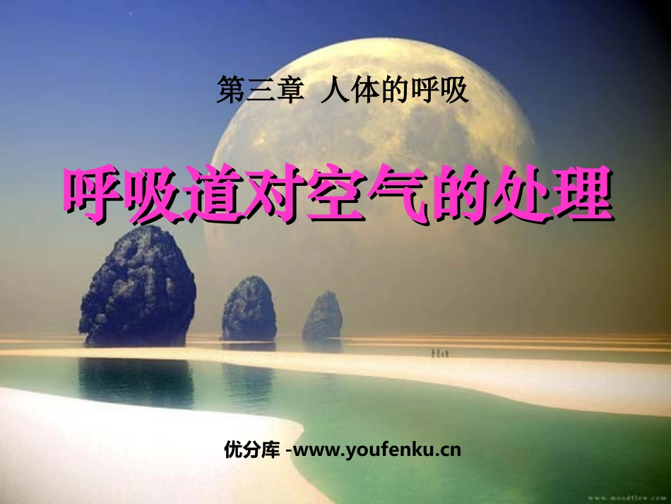 《呼吸道对空气的处理》人体的呼吸PPT课件[人教版七年级生物]_第1页