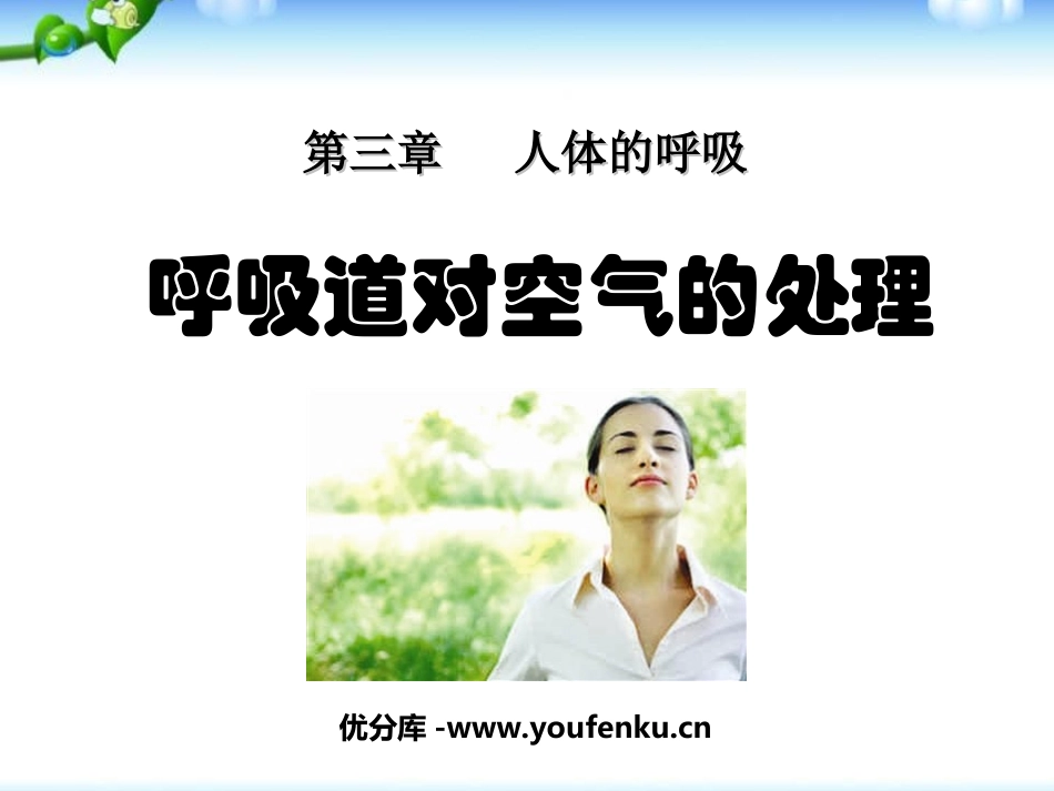 《呼吸道对空气的处理》人体的呼吸PPT课件[人教版七年级生物]_第1页