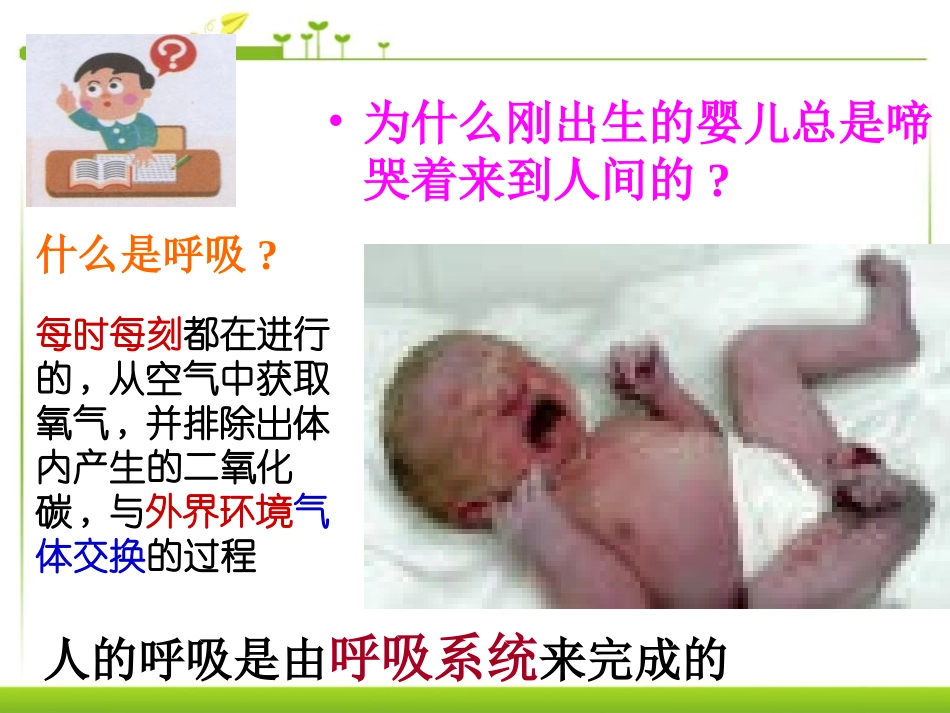 《呼吸道对空气的处理》人体的呼吸PPT课件[人教版七年级生物]_第2页